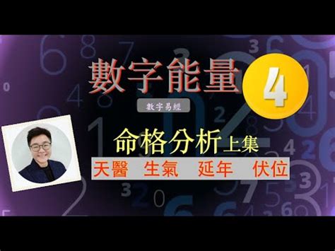 生氣數字組合|【天醫 延年 生氣】解鎖你的數字運勢：天醫、延年、生氣號碼全。